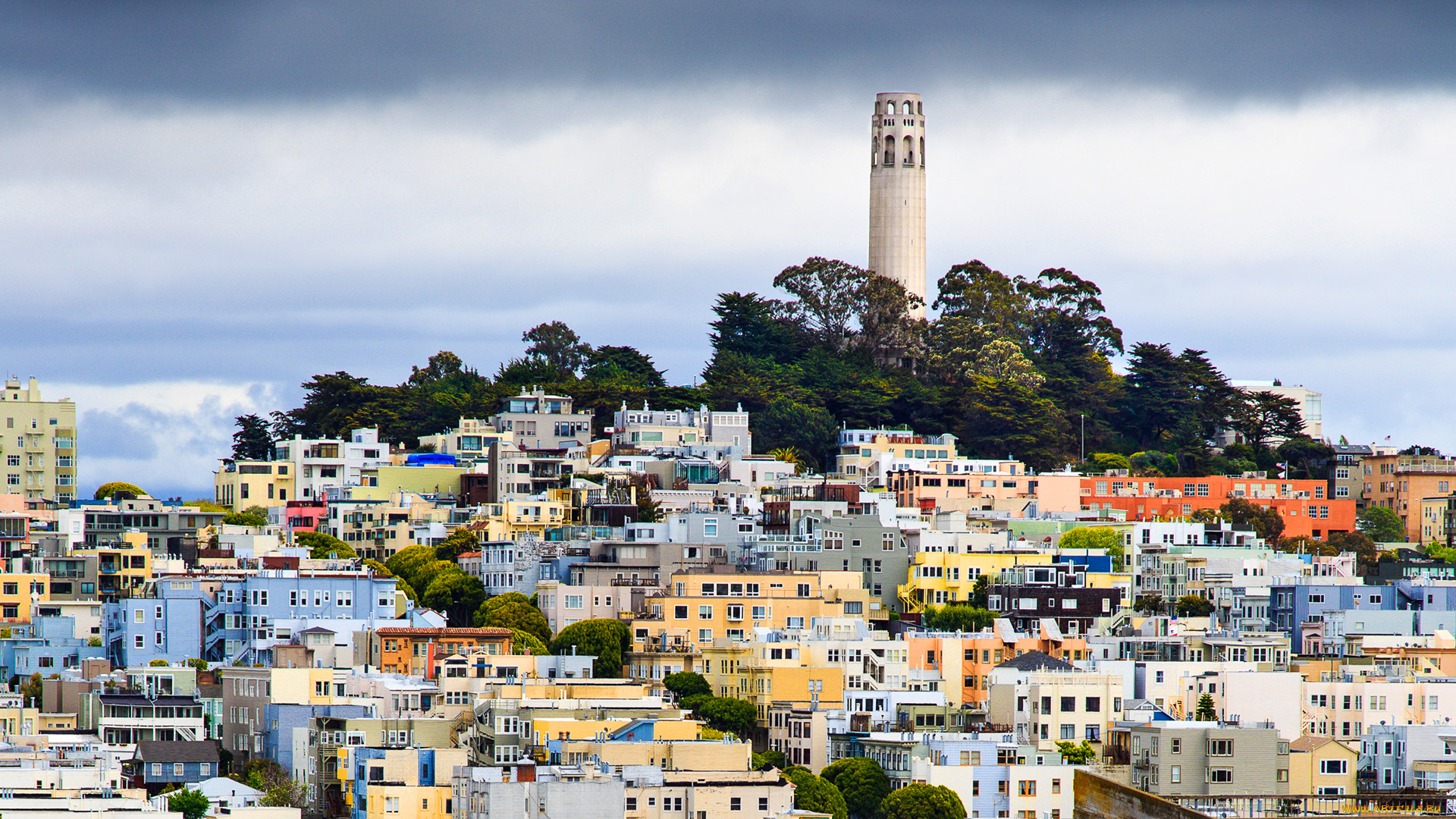 san francisco`, , - , , , 